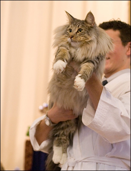 Valkeana's Cheyenne 1.jpg - Valkeana's Cheyenne